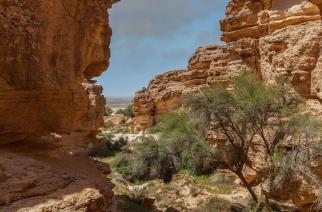 هيئة تطوير محمية الإمام عبدالعزيز بن محمد الملكية تنتج فيلمًا وثائقيًا يكشف أسرار “جبل العرمة”