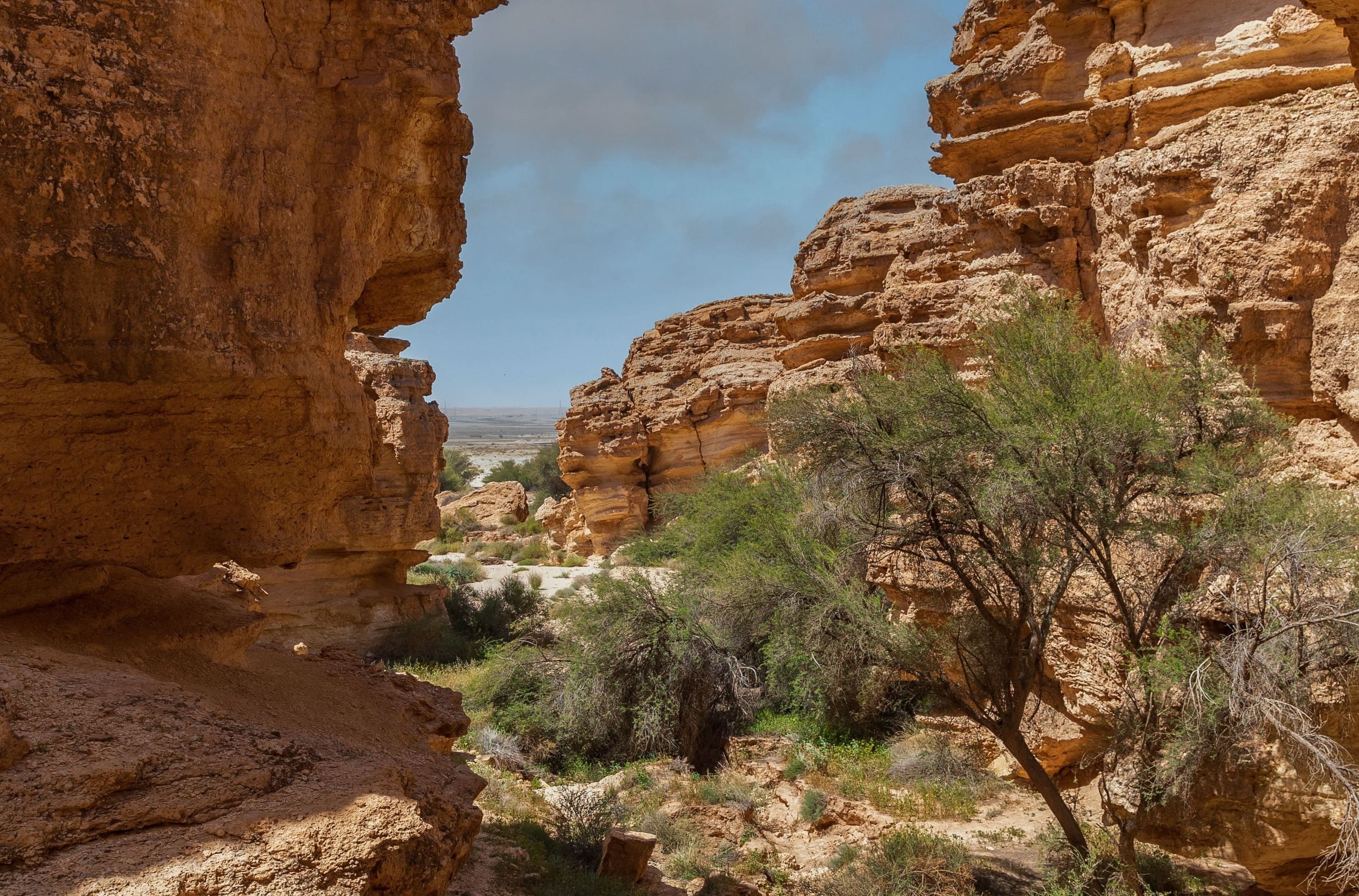 هيئة تطوير محمية الإمام عبدالعزيز بن محمد الملكية تنتج فيلمًا وثائقيًا يكشف أسرار “جبل العرمة”