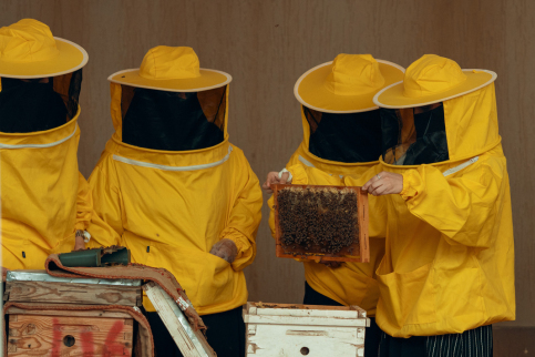 الهيئة  تختتم برنامج الصناعات التحويلية من المنتجات النحلية لسيدات المجتمع المحلي