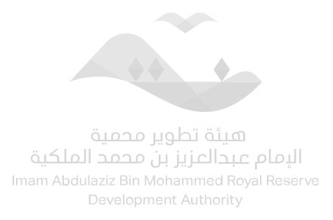 هيئة تطوير محمية الإمام عبدالعزيز بن محمد الملكية ترصد 257 مخالفة للرعي الموسمي