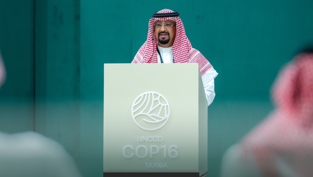 المشاركة في المؤتمرات المحلية والدولية.