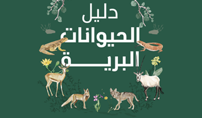 دليل الحيوانات البرية في محمية الإمام عبدالعزيز بن محمد الملكية ومحمية الملك خالد الملكية (العربية)